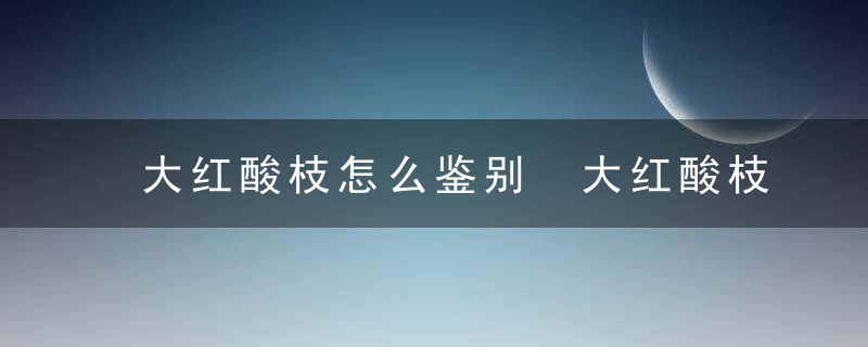 大红酸枝怎么鉴别 大红酸枝如何鉴别